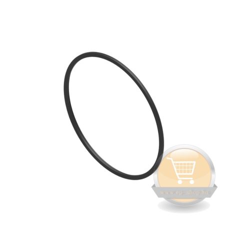 Bosch Condens 1200W égőfedél tömítés 8738902785