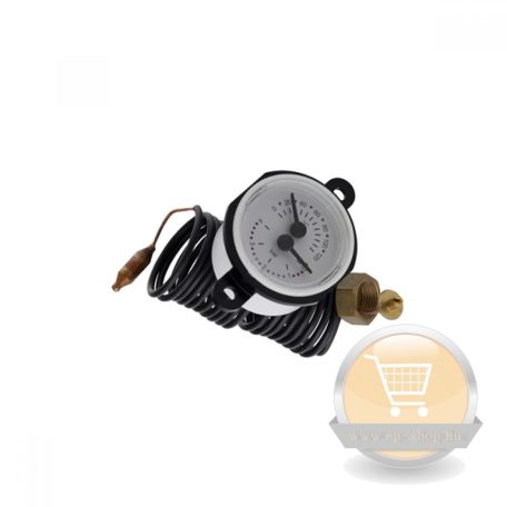 Westen Energy nyomásmérő óra manométer régi 8922380