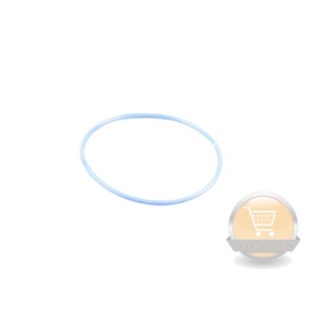 Beretta Mynute Green/Exclusive Green/Exclusive Boiler Green égő tömítés R10026366